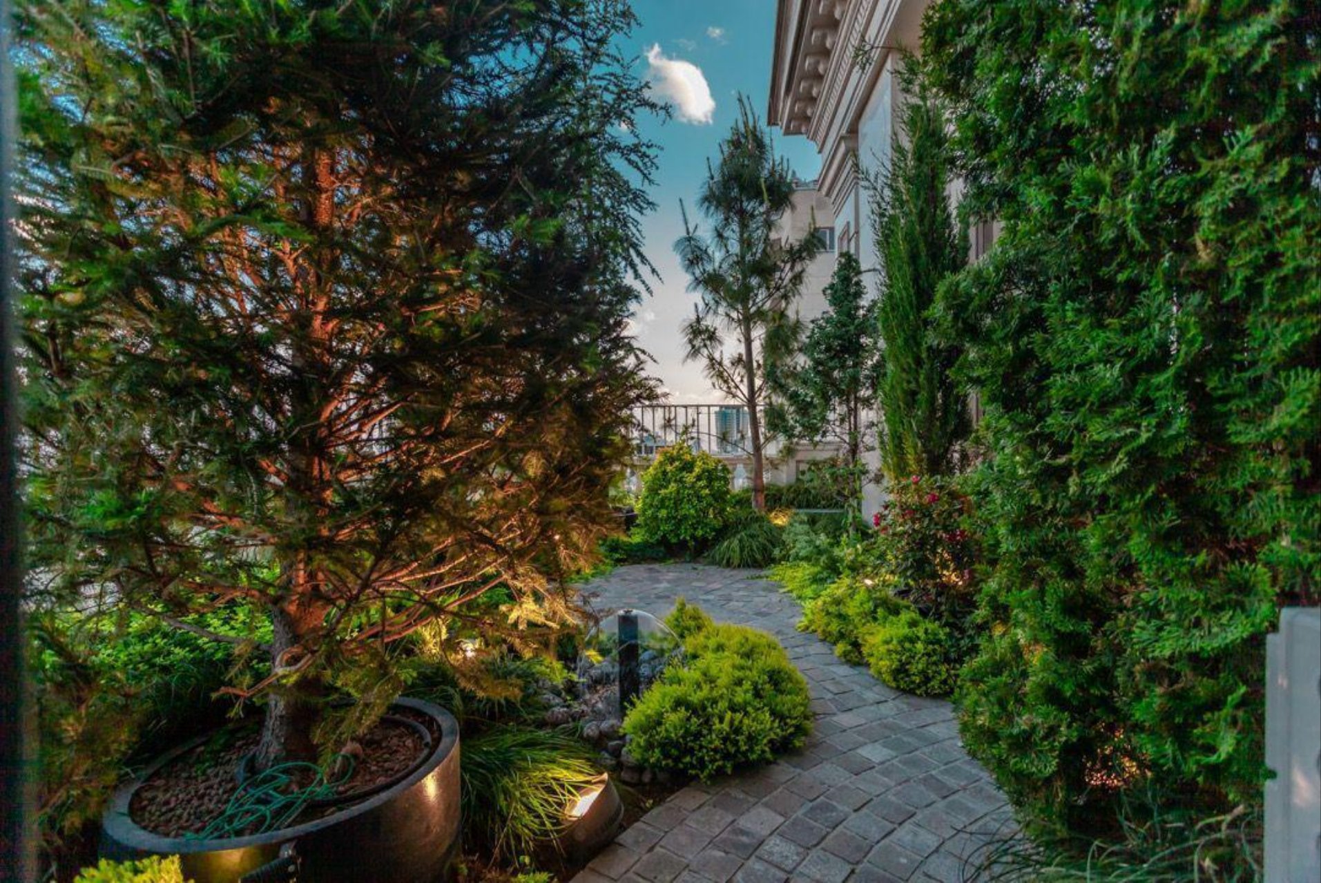 Garden path with lighting